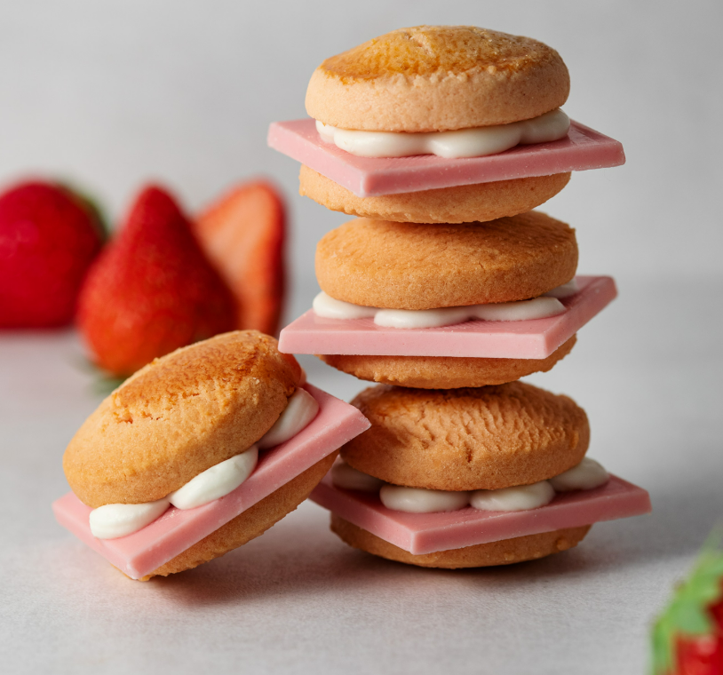 【預購】CAPTAIN SWEETS BURGER|甜點漢堡|卡比聯名|起司巧克力漢堡|草莓漢堡|小漢堡|日本伴手禮|東京伴手禮