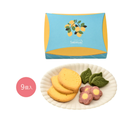 【預購】Sableya Atelier 季節限定 手工餅乾 鐵盒 沙布列法式酥餅 伴手禮 贈禮 禮盒 有發票