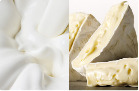 【預購】東京牛奶起士工房┃ Tokyo milk cheese factory ┃東京伴手禮┃ 蜂蜜┃ 海鹽 ┃香草起司┃ 禮盒┃ 餅乾 ┃團購┃ 批發┃伴手禮
